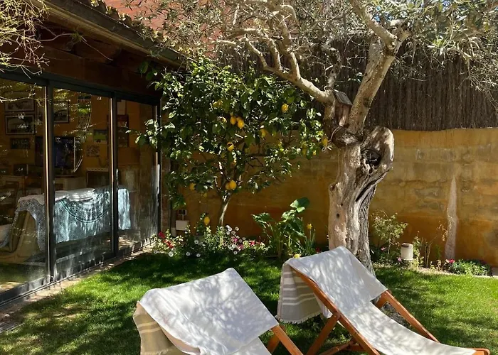 El Jardí De La Muralla